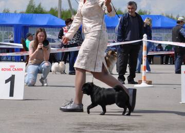 http://upforme.ru/uploads/000a/dd/f3/2/t253497.jpg