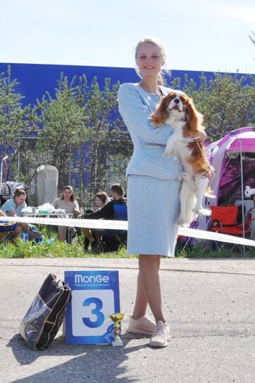http://upforme.ru/uploads/000a/dd/f3/2/t303838.jpg