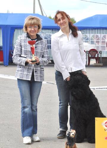 http://upforme.ru/uploads/000a/dd/f3/2/t310793.jpg