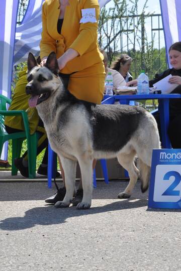 http://upforme.ru/uploads/000a/dd/f3/2/t352952.jpg