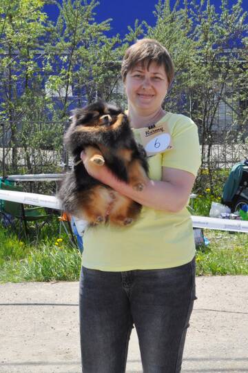 http://upforme.ru/uploads/000a/dd/f3/2/t412196.jpg