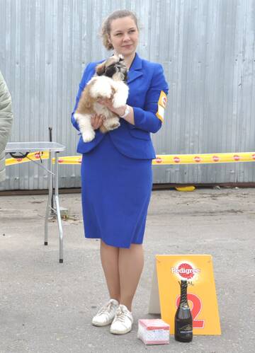 http://upforme.ru/uploads/000a/dd/f3/2/t476339.jpg