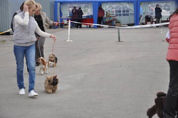 http://upforme.ru/uploads/000a/dd/f3/2/t507296.jpg
