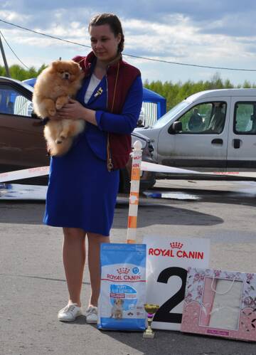 http://upforme.ru/uploads/000a/dd/f3/2/t529715.jpg
