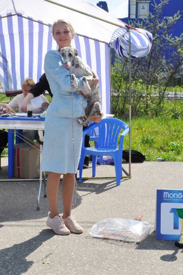http://upforme.ru/uploads/000a/dd/f3/2/t563435.jpg