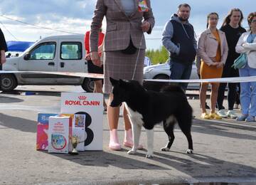 http://upforme.ru/uploads/000a/dd/f3/2/t57820.jpg