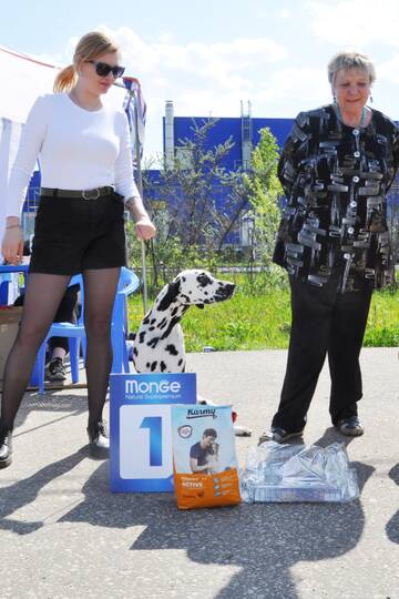 http://upforme.ru/uploads/000a/dd/f3/2/t618242.jpg