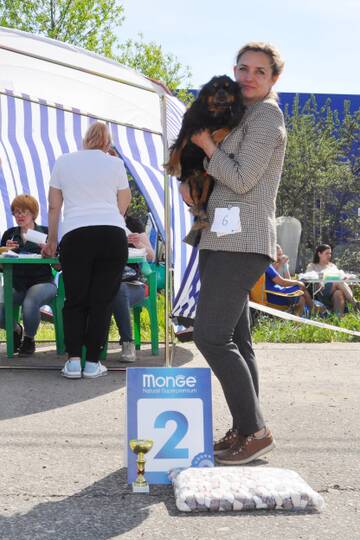 http://upforme.ru/uploads/000a/dd/f3/2/t640536.jpg