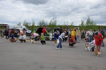 http://upforme.ru/uploads/000a/dd/f3/2/t719931.jpg