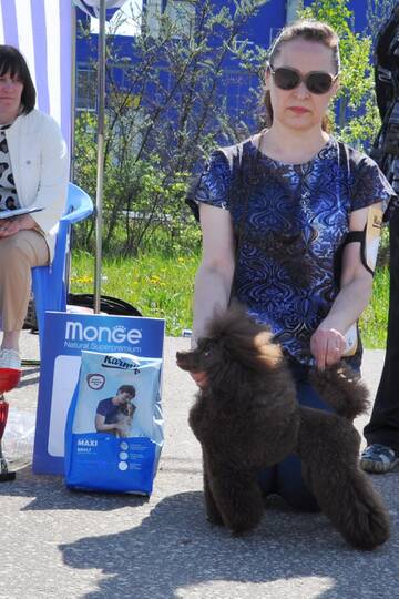 http://upforme.ru/uploads/000a/dd/f3/2/t724879.jpg