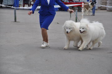 http://upforme.ru/uploads/000a/dd/f3/2/t750713.jpg