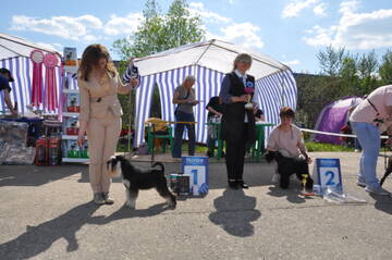 http://upforme.ru/uploads/000a/dd/f3/2/t755809.jpg