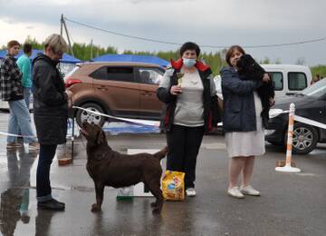http://upforme.ru/uploads/000a/dd/f3/2/t872062.jpg