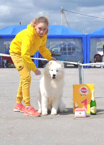 http://upforme.ru/uploads/000a/dd/f3/2/t91083.jpg