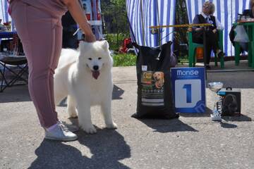 http://upforme.ru/uploads/000a/dd/f3/2/t973039.jpg