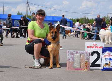 http://upforme.ru/uploads/000a/dd/f3/2/t978043.jpg