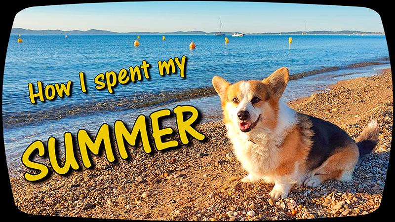 http://upforme.ru/uploads/000a/dd/f3/366/273830.jpg