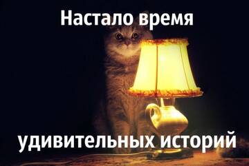http://upforme.ru/uploads/000a/e3/16/183/t704980.jpg