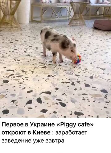 http://upforme.ru/uploads/000a/e3/16/2022/t319160.jpg