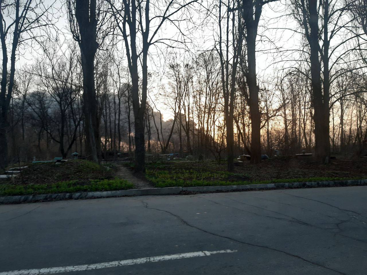 http://upforme.ru/uploads/000a/e3/16/232/352003.jpg