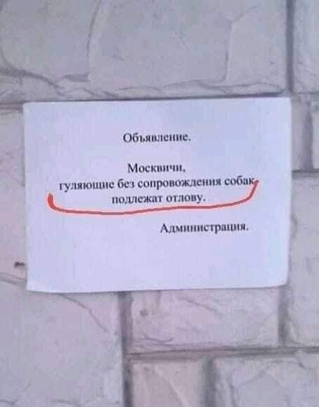http://upforme.ru/uploads/000a/e3/16/290/20921.jpg