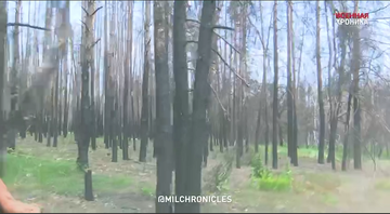 http://upforme.ru/uploads/000a/e3/16/3338/t928835.png