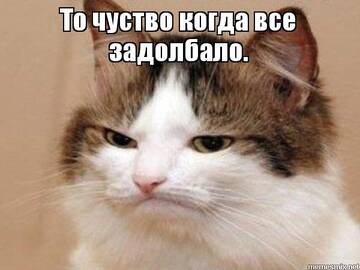 http://upforme.ru/uploads/000a/e3/16/5031/t162081.jpg