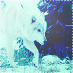 http://upforme.ru/uploads/000a/e4/c8/3277-2.png