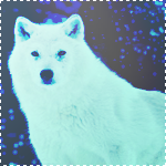 http://upforme.ru/uploads/000a/e4/c8/3277-3.png