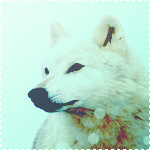 http://upforme.ru/uploads/000a/e4/c8/3277-4.png