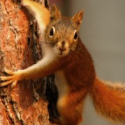 http://upforme.ru/uploads/000a/ec/d5/54186-1.jpg