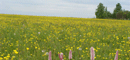 http://upforme.ru/uploads/000a/ef/c3/82-2.gif