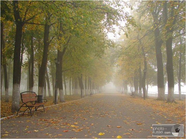 http://upforme.ru/uploads/000a/f1/40/1457-1-f.jpg