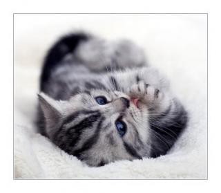 http://upforme.ru/uploads/000a/f9/49/3927-3.jpg