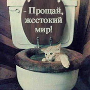 http://upforme.ru/uploads/000a/f9/49/3930-2.jpg