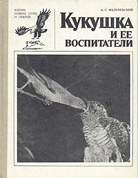 http://upforme.ru/uploads/000b/02/ef/2073-1-f.jpg