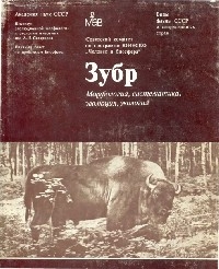 http://upforme.ru/uploads/000b/02/ef/2150-1-f.jpg