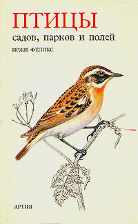 http://upforme.ru/uploads/000b/02/ef/2173-1-f.jpg