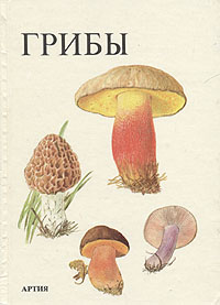 http://upforme.ru/uploads/000b/02/ef/2177-1-f.jpg