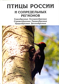 http://upforme.ru/uploads/000b/02/ef/2415-1-f.jpg
