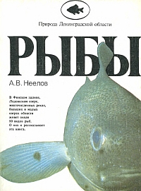 http://upforme.ru/uploads/000b/02/ef/2621-1-f.jpg