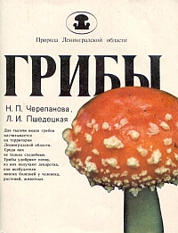 http://upforme.ru/uploads/000b/02/ef/2625-1-f.jpg