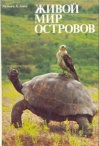 http://upforme.ru/uploads/000b/02/ef/3003-1-f.jpg