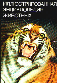 http://upforme.ru/uploads/000b/02/ef/3159-1-f.jpg
