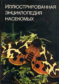 http://upforme.ru/uploads/000b/02/ef/3160-1-f.jpg