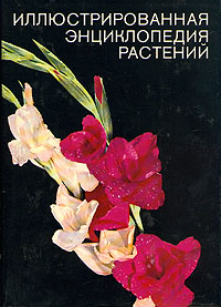 http://upforme.ru/uploads/000b/02/ef/3162-1-f.jpg