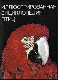 http://upforme.ru/uploads/000b/02/ef/3164-1-f.jpg