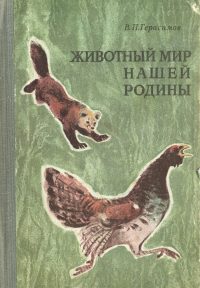 http://upforme.ru/uploads/000b/02/ef/4303-1-f.jpg