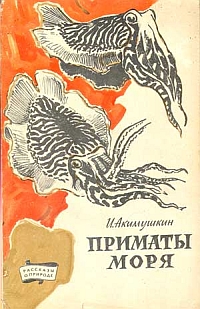 http://upforme.ru/uploads/000b/02/ef/4896-1-f.jpg