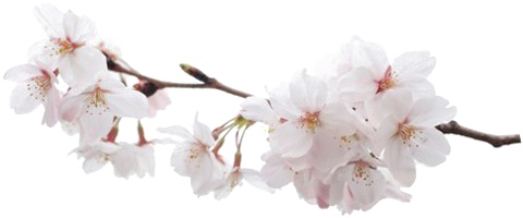http://upforme.ru/uploads/000b/04/66/2/92445.png
